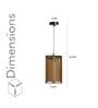 Igor Single Light Ceiling Pendant in Brass Finish