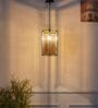 Igor Single Light Ceiling Pendant in Brass Finish