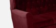Imelda Velvet 2 Seater Sofa in Berry Red Colour