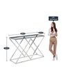 Imel Console Table in Stainless steel Finish