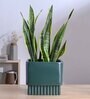 Immortal Nights Large Dark Green Square Ceramic Planter