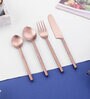 Imperial Brown Stainless Steel (Set of 4) Dining Cutlery Set