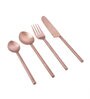 Imperial Brown Stainless Steel (Set of 4) Dining Cutlery Set