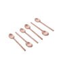 Imperial Brown Stainless Steel (Set of 6) Tea Spoon