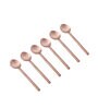 Imperial Brown Stainless Steel (Set of 6) Tea Spoon