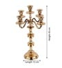 Imperium Grande 5-Arm Gold Candle Holder