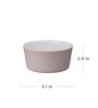 Denby Impression  Pink 400Ml Stoneware 1 Pc  Dinner Bowl