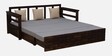 Indus Sheesham Wood Pull Out 3 Seater Sofa Cum Bed In Provincial Teak Finish with Storage