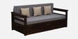 Indus Sheesham Wood Pull Out 3 Seater Sofa Cum Bed In Provincial Teak Finish with Storage