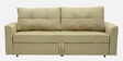 Ines Chenille Fabric Pull Out Sofa Cum Bed In Beige Colour With Storage