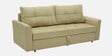 Ines Chenille Fabric Pull Out Sofa Cum Bed In Beige Colour With Storage