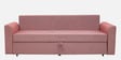 Ines Chenille Fabric Pull Out Sofa Cum Bed In Blush Colour With Storage