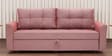 Ines Chenille Fabric Pull Out Sofa Cum Bed In Blush Colour With Storage