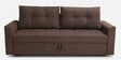 Ines Chenille Fabric Pull Out Sofa Cum Bed In Chestnut Brown Colour With Storage