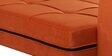Ines Chenille Fabric Pull Out Sofa Cum Bed In Rust Colour with Storage