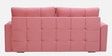 Ines Velvet Fabric Sofa Cum Bed With Storage in Blush Pink Color
