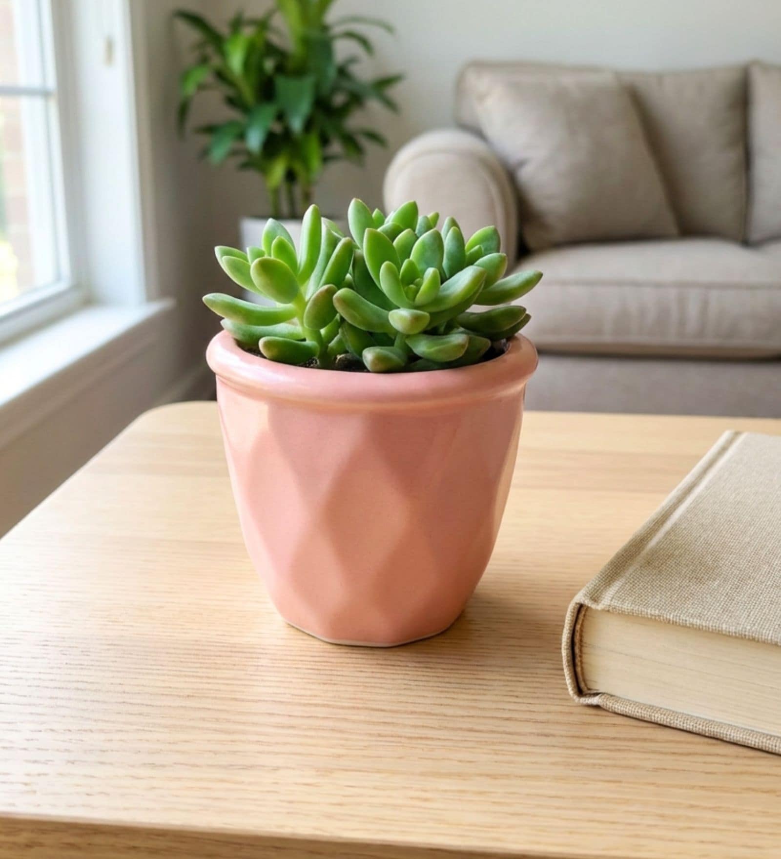 Pink Ceramic 4-Inch Flower Pot