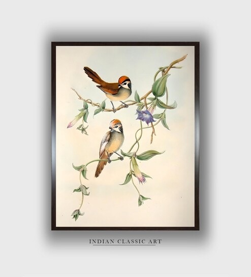Indian Bird Canvas Framed Wall Painting