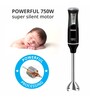 Inalsa Robotox 750S 750W Hand Blender (Black)