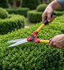 Yellow Garden Hedge Shears