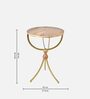 Indi Solid Wood End Table in Multicolour Colour
