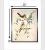 Indian Bird Canvas Framed Wall Painting