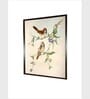 Indian Bird Canvas Framed Wall Painting