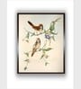 Indian Bird Canvas Framed Wall Painting