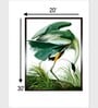 Birds Canvas Framed Wall Painting