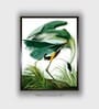 Birds Canvas Framed Wall Painting