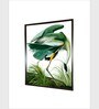 Birds Canvas Framed Wall Painting