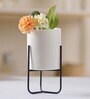 Indoor Large Ceramic & Metal Planter