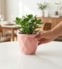 Pink Ceramic 4-Inch Flower Pot