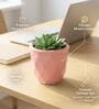 Pink Ceramic 4-Inch Flower Pot
