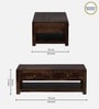 Indus Sheesham Wood Coffee Table In Provincial Teak Finish