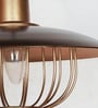 Industrial Brown & Gold Flat Top Cage Pendant Light