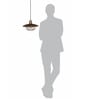 Industrial Brown & Gold Flat Top Cage Pendant Light