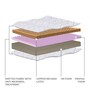 infinia 8 inch HR Foam Queen Size Mattress (with 2 Free Pillows)