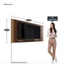Infinity TV Panel in Havan & Burti Finish