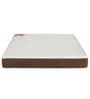 infinity 6 inch HR Foam Queen Size Mattress