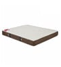 infinity 6 inch HR Foam Single Mattress