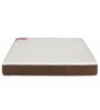 infinity 8 inch HR Foam Queen Size Mattress