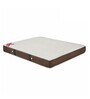 infinity 8 inch HR Foam Queen Size Mattress