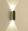 Ingress Metal Flush Mount Wall Light (Black)