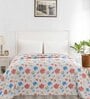 Inhouse Glam Medison 144 TC Cotton Double Comforter in Multicolor