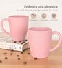 Innocent Classic Coffee Mug 300 ml (6 Pc)Rice Husk Biocomposite