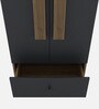 Inova Wood 2 Door Wardrobe in Lyon Walnut and Slate Grey Finish