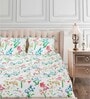 Blue Floral 160 TC Cotton Queen Sized Bed Sheets with 2 Pillow Covers