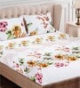 Brown Floral 160 TC Cotton Queen Sized Bed Sheets with 2 Pillow Covers