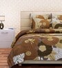 Brown Floral 160 TC Cotton Queen Sized Bed Sheets with 2 Pillow Covers
